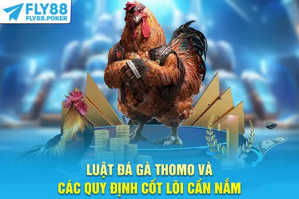 Luật đá gà Thomo và các quy định cốt lõi cần nắm
